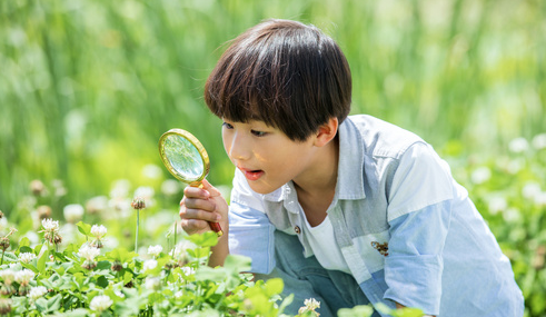 教育转型，你需要一份从零开始做自然教育的新手教程